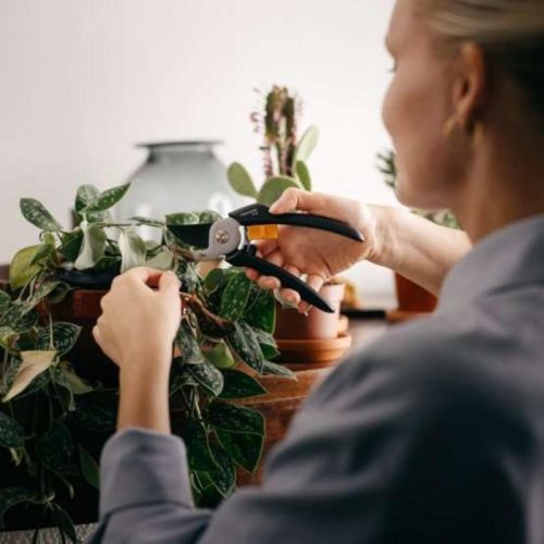 Fiskars metszőolló, Solid P121