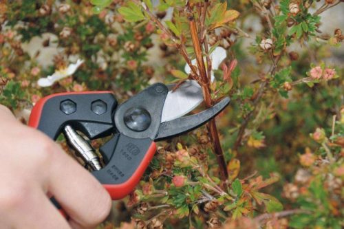 Felco 160S metszőolló