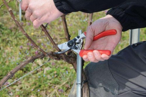 Felco 7 metszőolló