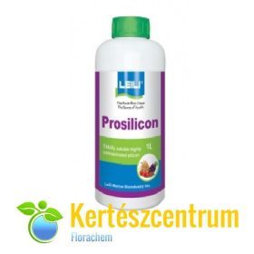 PROSILICON1L.JPG