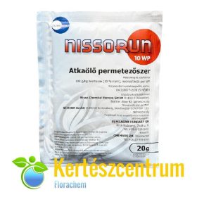 NISSORUN20G.JPG