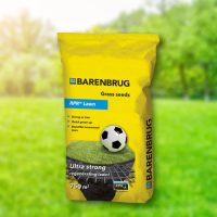 Sport típusú fűmag