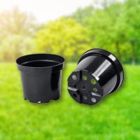 Cserép és virágláda