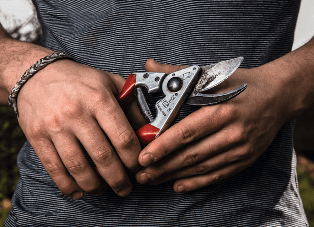 Felco 8 metszőolló