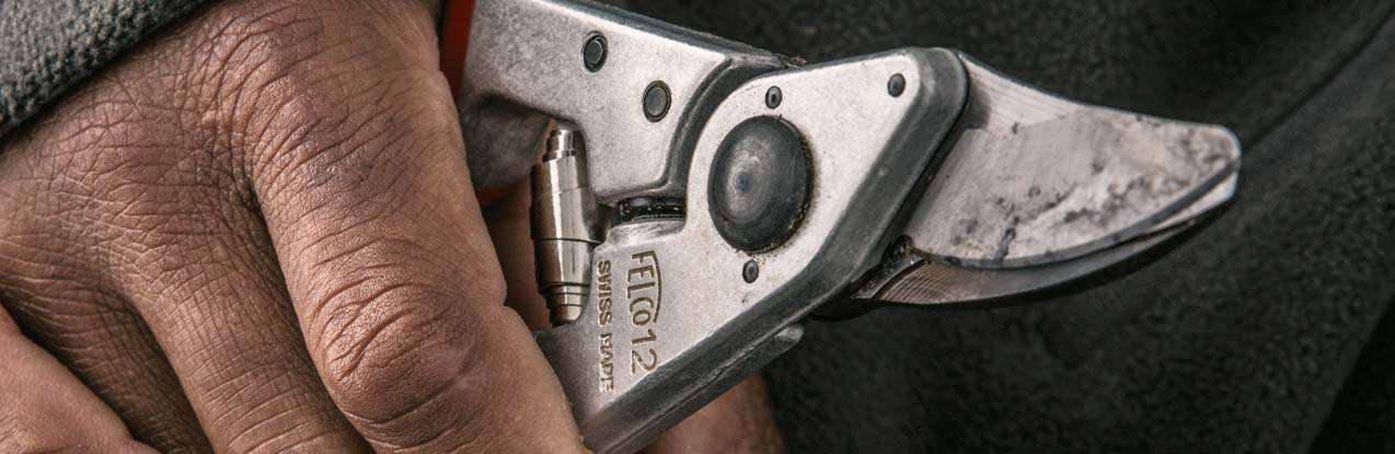 Felco 12 metszőolló