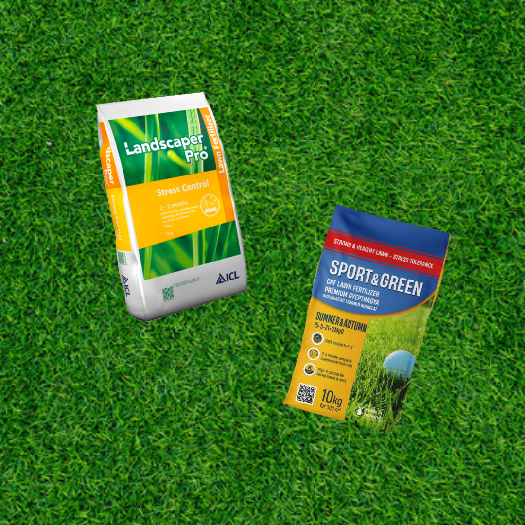 6 tipp, hogy gyepünk túlélje a nyári hőséget