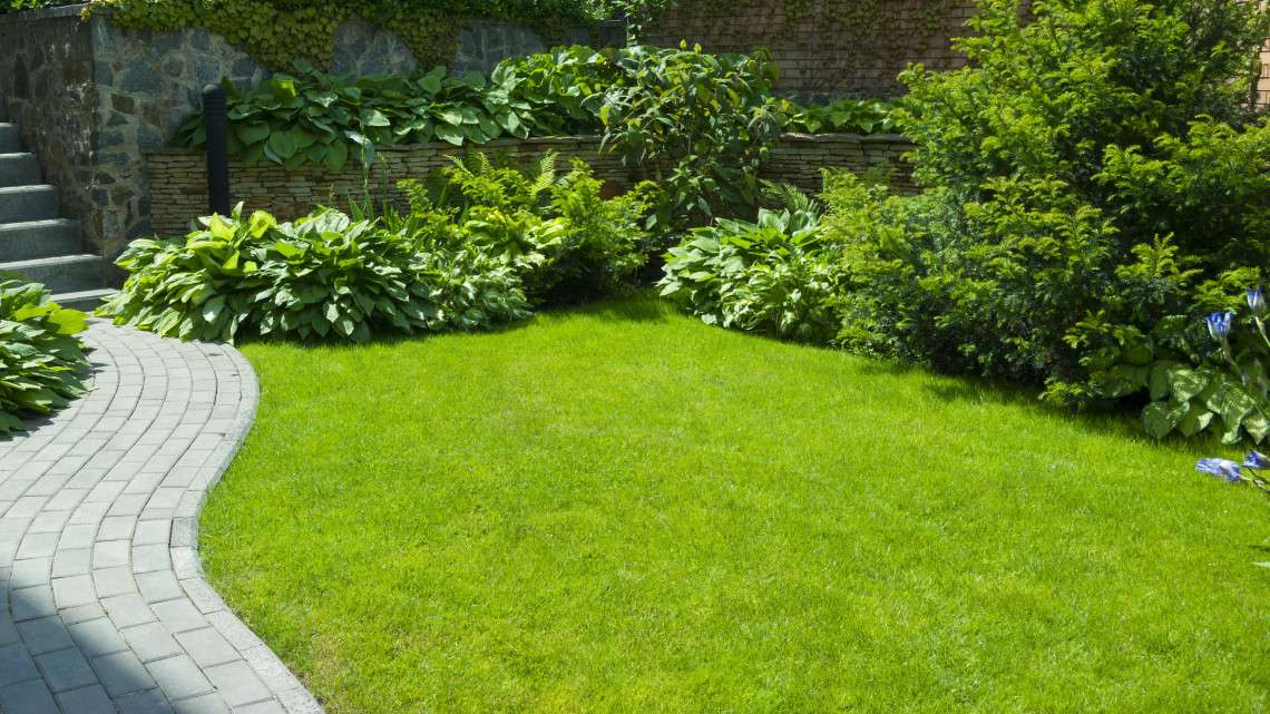 Gyep felület a kertben