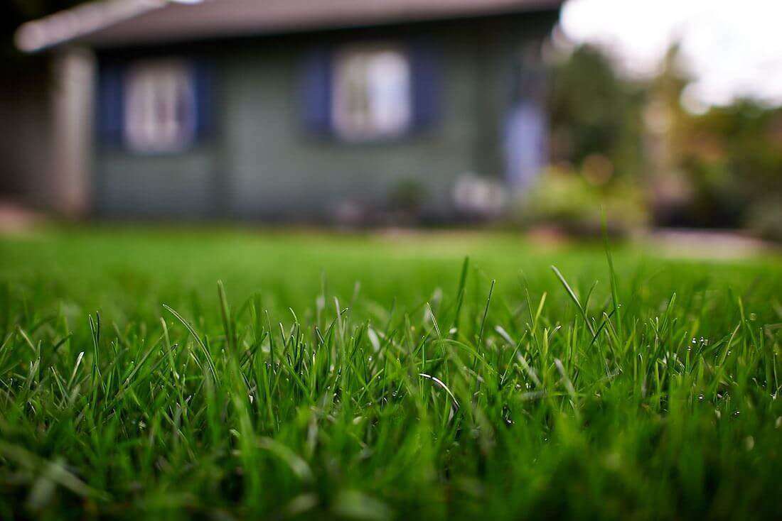 Szép, egységes gyep