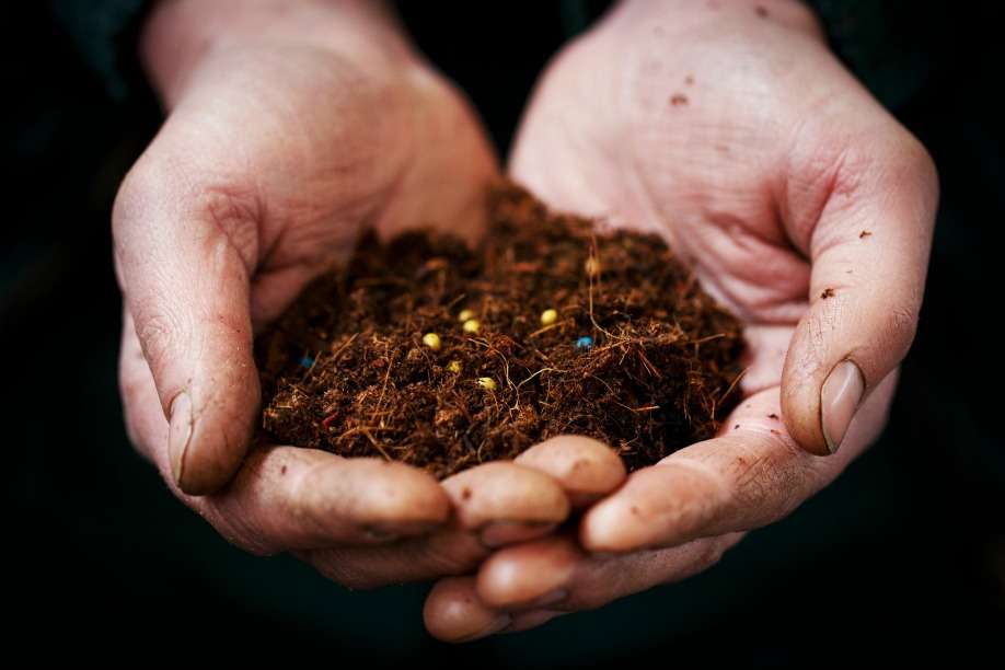 Hogyan válaszd ki a megfelelő burkolt gyeptrágyát?