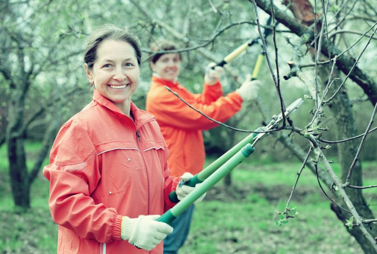 Tél előtti utolsó simítások a kertben
