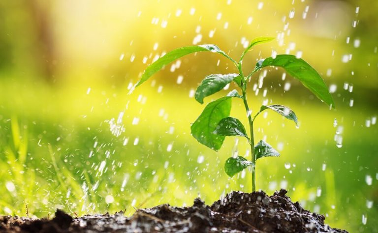 Talaj- és öntözővíz vizsgálat