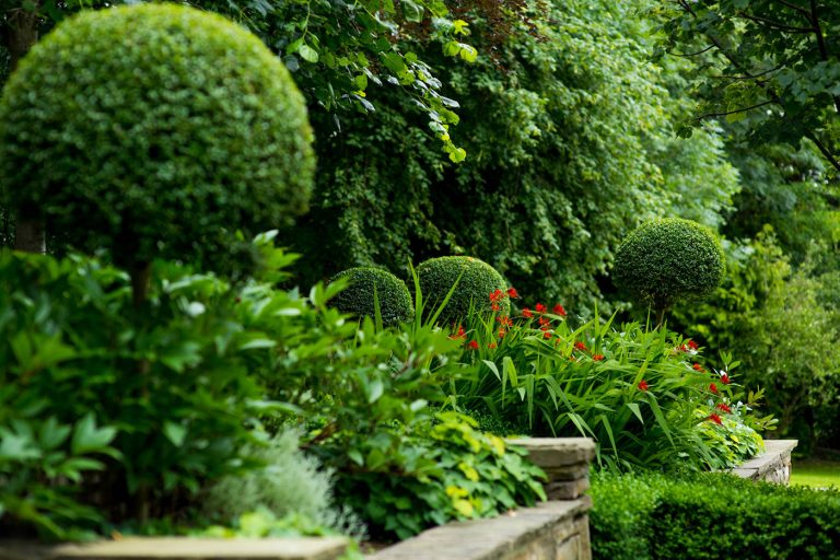 Örök sláger az örökzöld