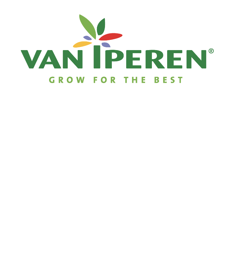 Kevesebb víz és tápanyag is elég